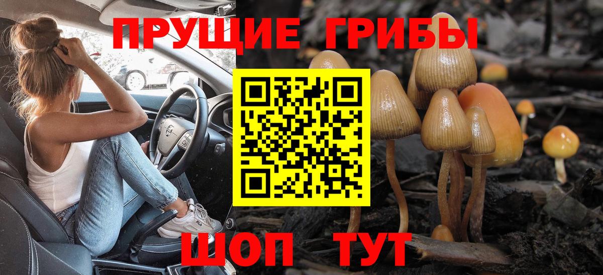 Псилоцибиновые грибы Psilocybine cubensis  Вход с VPN  Аксай  Псилоцибиновые грибы Psilocybine cubensis 