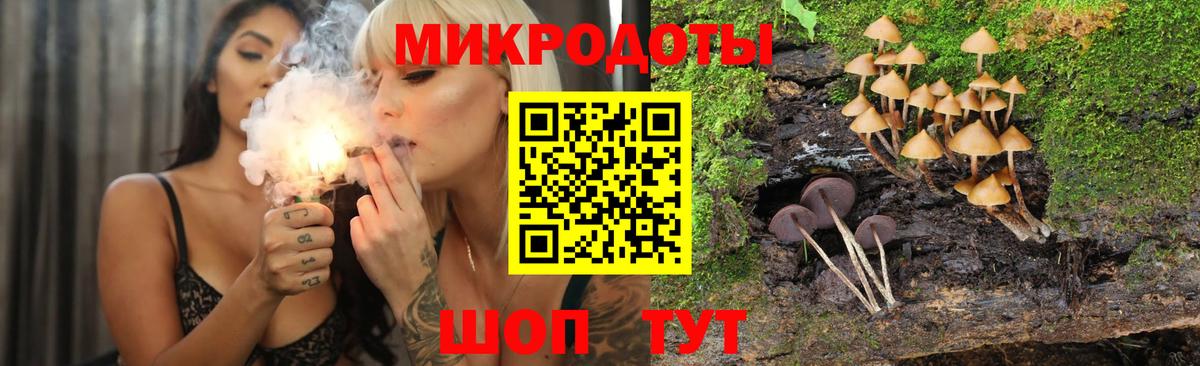Галлюциногенные грибы Cubensis Аксай