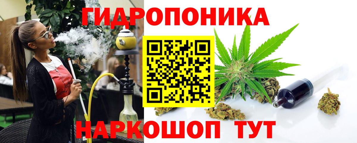 Бошки марихуана конопля  Канабис тримм  Аксай  МАРИХУАНА Bruce Banner  Вход с VPN 